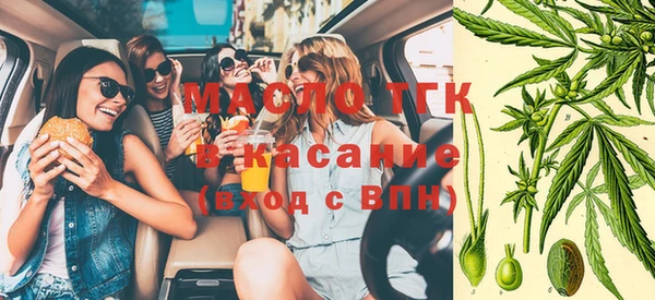 тгк Абаза