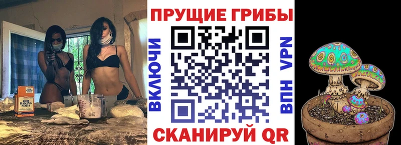 Галлюциногенные грибы MAGIC MUSHROOMS  маркетплейс Telegram  Балахна  OMG сайт 
