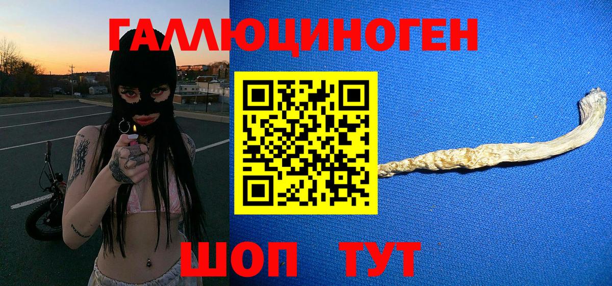 Псилоцибиновые грибы GOLDEN TEACHER Балахна