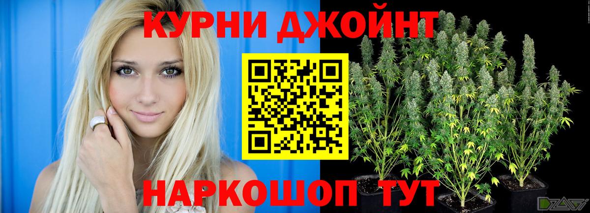 Балахна  Канабис планчик  Бошки Шишки LSD WEED  Шишки марихуана гибрид  Вход с VPN 